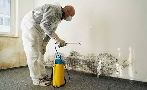 Best Mold Removal for HVAC Installations  in Winona, MS