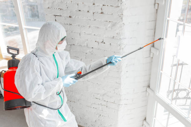 Best Mold Odor Removal Services  in Winona, MS